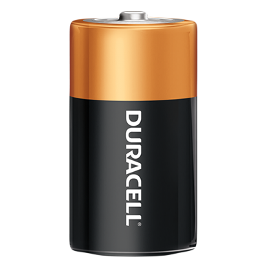 D Alkaline Battery